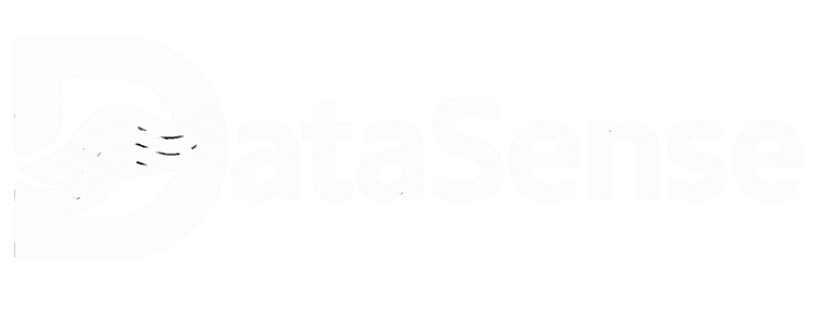 DataSense Logo